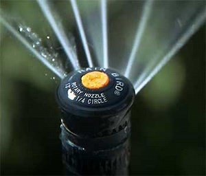 K-Rain Vs. Rainbird Rotor Sprinkler: Which One Is The Best?