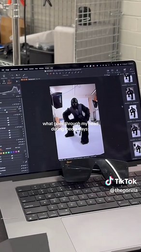 sometimes i get dressed up 😮‍💨 #TheGorilla #nba #phoenixsuns #Go #mascot #sportstiktok #mediaday #camera #morepassion #moreenergy