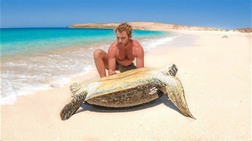 Stranded on a remote island when we found a turtle in trouble
