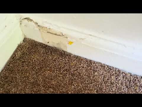 BT FTTP Installation - What to expect (Read Description)