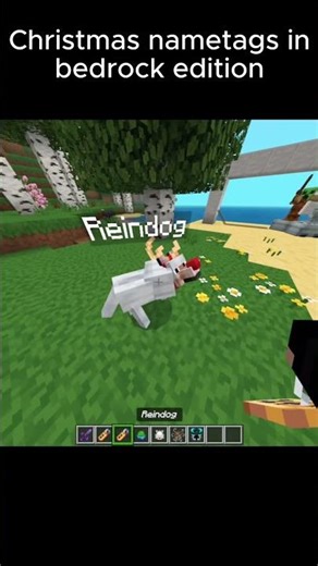 Minecraft Christmas Name Tags Moment