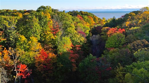 Wisconsin fall colors status: much of state heading toward early October peak