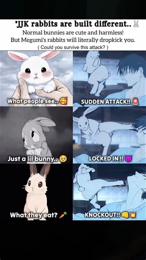 JJK Rabbits are Built Different! 🐰🥊