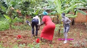 CRAZY VILLAGE SCARE CROW DANCE COAX,MARTIN,SHEKIE MANALA Latest African Comedy 2020 HD #africacomingup | Africa coming up