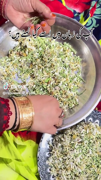 Understanding Sindhi Status Language Translations