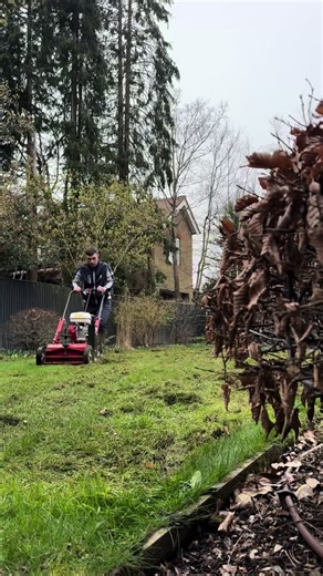 Lawn scarify, re seed and spring treatment #spring #lawn #grass #lawncareservice