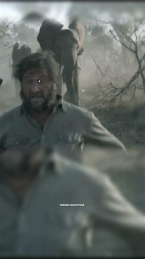 21 Elephants Attend his Funeral