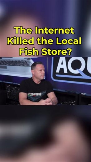 17K views · 83 reactions | The Internet Killed the Local Fish Store? #LocalFishStore #SustainableFishing #SupportLocal #FishMarket #AquariumLife #PetFish | SaltwaterAquarium.com | Facebook