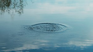 Throwing a stone into a lake - Free Stock Video