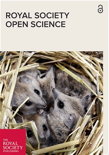 A model for the permeability of coffee pucks validated using X-ray computed micro-tomography