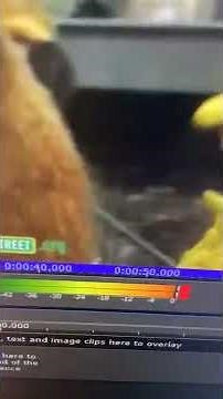 Sesame Street - Elmo’s Song (Speed Up)