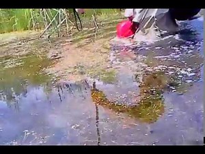 MSV. Deep flooding across Big-tube swamp & fill my PROline Twin river rubber\\nylon hip waders.