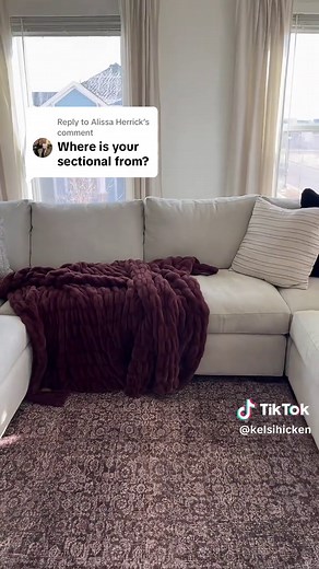 Crate and Barrel Axis Sectional Review and Details
