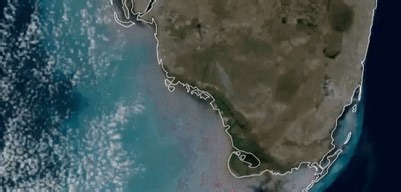 Satellite Captures Wildfire 'Exploding' in South Florida Swamp Preserve