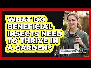 What Do Beneficial Insects Need To Thrive In A Garden?