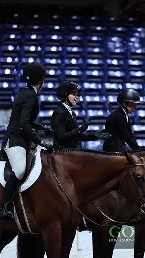 6.2K views · 2.8K reactions | Congratulations to all the winners of the Level 1 Youth Hunt Seat Equitation 14-18 at the 2025 All American Quarter Horse Congress. CHAMPION - Pimp My Ryde & Addie Iwersen RESERVE CHAMPION - Willy Worth It & Emily Firth THIRD PLACE - If U Say So & Charlotte Hill #letsgohorseshow #wherethewinnersgo #allamericanquarterhorsecongress #quarterhorsecongress #aaqhc2025 #quarterhorsecongress2025 #qhcongress #qhcongress2025 #aaqhc | GoHorseShow.com | Facebook