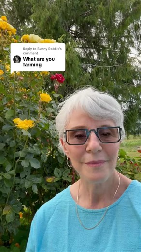 What is Rhodiola? It’s a root that grows in cold, harsh places like Alaska. People have used it for generations to help with focus, energy, and stress — especially during long, demanding days. It’s not new. It’s not trendy. Just something that’s helped a lot of people feel a little more like themselves. #Rhodiola #AlaskaRhodiola #adaptogens #alaska #fyp #stressrelief | Alaska Rhodiola | Facebook