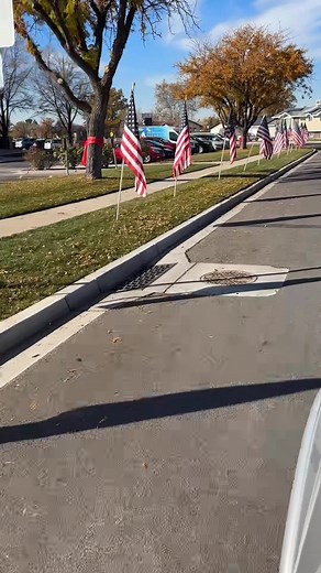 Thanks to our student council and their advisors for putting flags up at school today. We are grateful for the service of all our Veterans. | Cook Elementary PTA