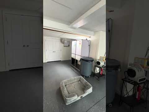 Make sure you buy your chameleon from the right Breeder!!