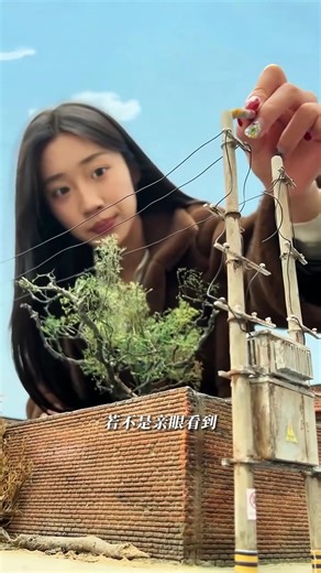 Bytedance (@bytedance327)’s videos with 原声 - Bytedance