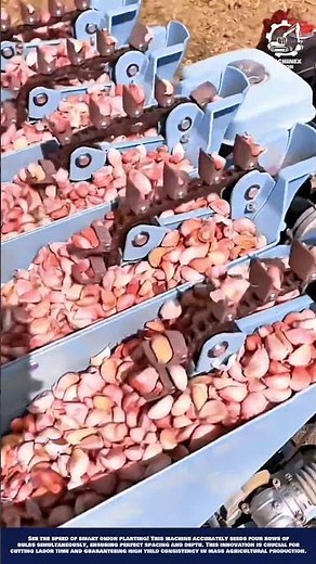 Smart Onion Planting Machine Innovation for rapid and uniform onion farming