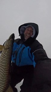 Tiger Muskie or Tiger Musky fishing. I went to the North Woods of Wisconsin and the upper Peninsula of Michigan to fish for Tiger musky‘s. Honestly, I was hoping for northern Pike or a Muskellunge so I didn’t expect catching this hybrid version. This is an incredibly rare thing to catch out in the wild and I will forever be grateful for this catch. | Tiefsa