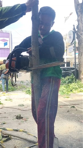 Woodworking project tips and tricks tree cutting techniques #shortvideo #chainsaw