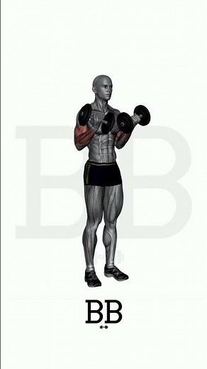 Dumbbell Curls (BICEPS): Build Massive Arm Size & Peak! 💪