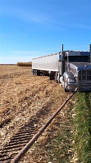 Fields still too wet for farming