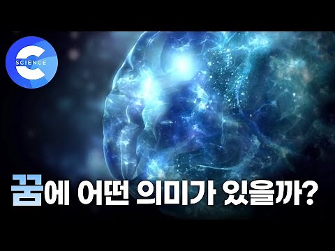 꿈은 왜 꾸는 걸까?