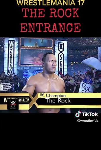 The Rock vs Stone Cold Wrestlemania 17 Showdown