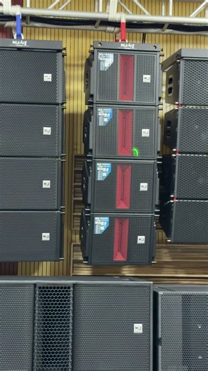 Single 12-inch coaxial line array speaker #linearray #soundsystem #professionalsound #Matrizlineal