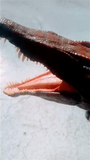 mamá soy un angri bird #yosoydelos7mil #memes #funny #automobile