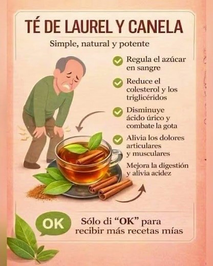Té de Laurel y Canela 🍵 | Beneficios para Azúcar, Colesterol y Digestión #salud