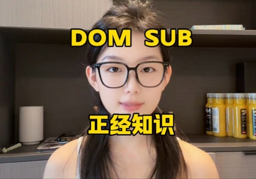小圈dom和sub是啥？