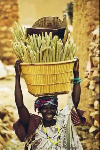 DoGoN Et FiÈrE #dogon #dogsoftiktok #dogontiktok #culture #tradition #africa #mali #malitiktok🇲🇱 #paysdogon #sinformersurtiktok #abonnement