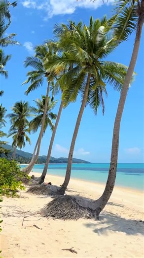 1K reactions · 69 shares | The best kept secret beach that you must...