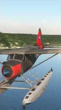 தண்ணீரிலேயே பறக்கும் விமானம் எப்படி? ✈️🌊 | Float Plane | Tamil