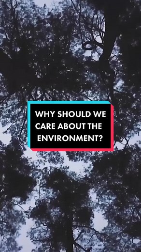 Understanding the Importance of Preserving Our Green Planet