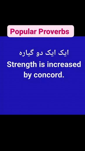 #popularproverbs #wisesayings #English #LearnEnglish #TheySay | Idioms & Proverbs