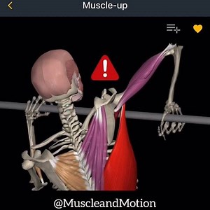 The Muscle-Up Exercise. . We like this Exercise very much. It's challenging and it requires explosive power, coordination, skill and a lot of challenge‼️🥇 . Before you can perform it correctly, though, you have to progress gradually and show a lot of patience. . The way that is illustrated in the attached video is one of the NOT-recommended ways. ❌❌❌ . We see a lot of trainees whose lack of strength and/or skill makes them commit the mistake you see in the video. . This extreme movement of the 