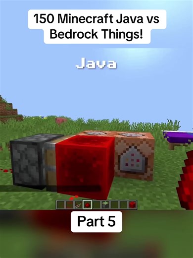 150 Minecraft Java vs Bedrock Things!#MineCraft #viral #fyp | minecraft