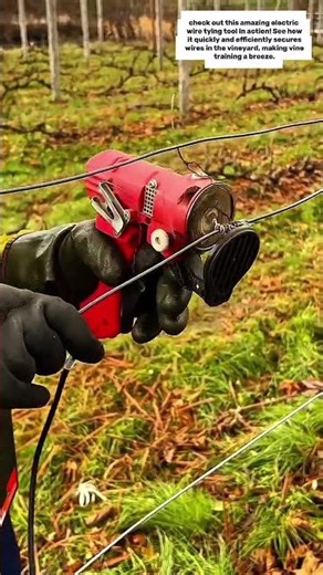 Revolutionizing Vineyards: The Electric Wire Tying Tool