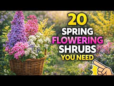 20 BEST Spring Flowering Shrubs That Bring Color & Fragrance to Your Garden All Year