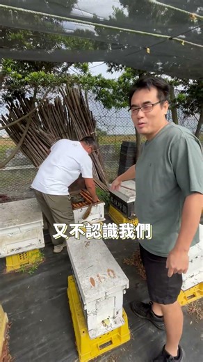 蜂農的日常~養蜂人森哥01