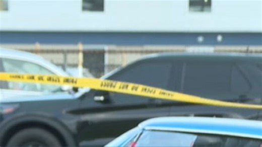 Witnesses recount feeling horrified after car plows through parade