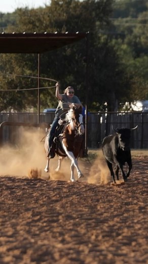 4.7K views · 58 shares | Big Horse Energy in a Pony Package - That's...