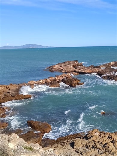 🎣 Pesca submarina en aguas turbias 🌊 😍Una pequeña muestra de todo lo que vemos en nuestras aventuras☺️! #viajes #pesca #aves #aventuras #animales