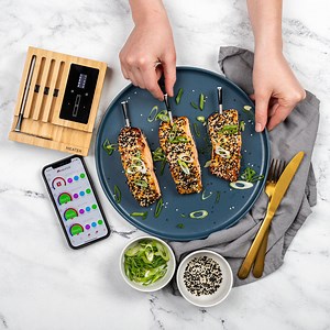 MEATER Block & Mitts Bundle