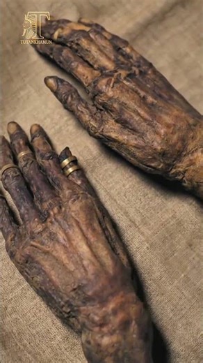The Golden Touch: 3,000-Year-Old Rings Still Shining on Mummified Hands! #ancientegypt #history